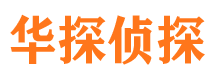 公安小三调查